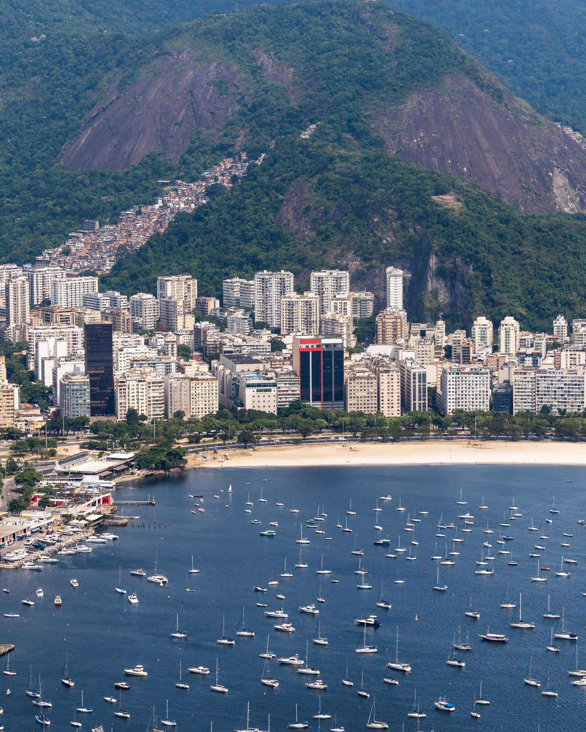 Montagem: enseada de Botafogo e Pão de Açúcar, no Rio de Janeiro, com gráficos de performance e um celular mostrando o painel da REP
